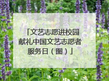 文艺志愿进校园 献礼中国文艺志愿者服务日（图）