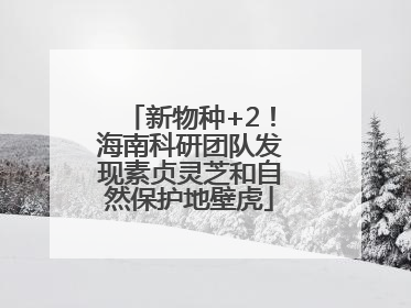 新物种+2！海南科研团队发现素贞灵芝和自然保护地壁虎