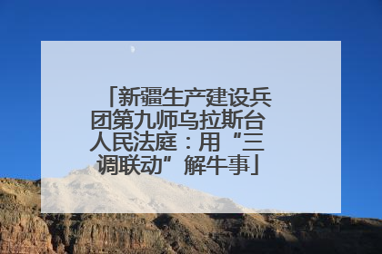 新疆生产建设兵团第九师乌拉斯台人民法庭：用“三调联动”解牛事