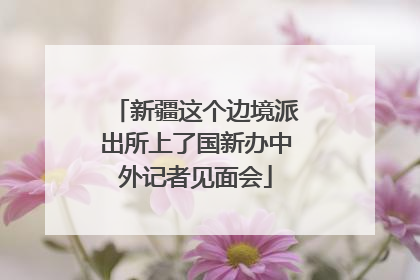 新疆这个边境派出所上了国新办中外记者见面会