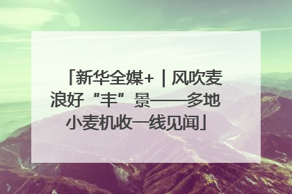新华全媒+｜风吹麦浪好“丰”景——多地小麦机收一线见闻