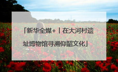 新华全媒+丨在大河村遗址博物馆寻溯仰韶文化