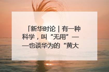 新华时论｜有一种科学，叫“无用”——也谈华为的“黄大年茶思屋”