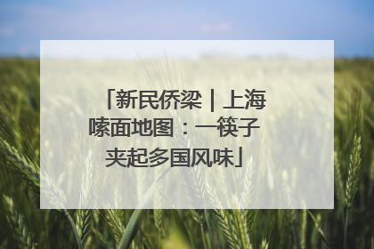新民侨梁｜上海嗦面地图：一筷子夹起多国风味