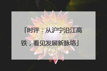 时评：从沪宁沿江高铁，看见发展新脉络