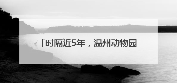 时隔近5年，温州动物园再迎大熊猫“宝弟”“宝妹”，明日正式开馆！