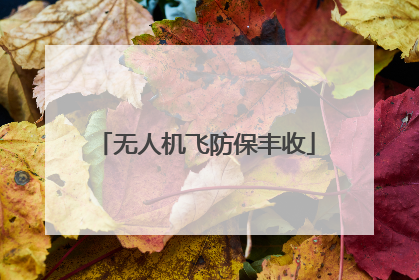 无人机飞防保丰收