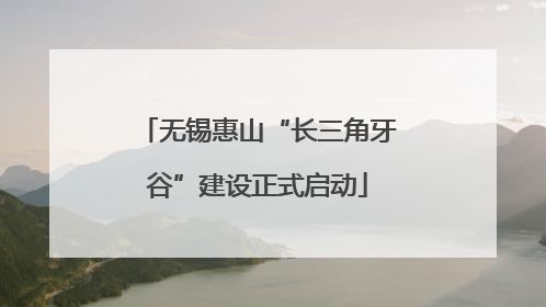 无锡惠山“长三角牙谷”建设正式启动