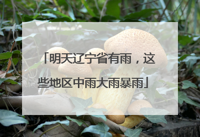 明天辽宁省有雨，这些地区中雨大雨暴雨