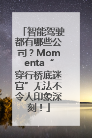 智能驾驶都有哪些公司？Momenta“穿行桥底迷宫”无法不令人印象深刻！
