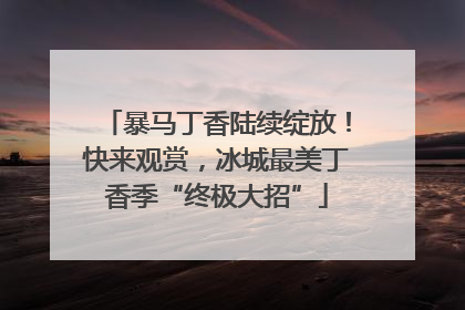 暴马丁香陆续绽放！快来观赏，冰城最美丁香季“终极大招”
