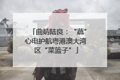 曲靖陆良：“蔬”心电护航粤港澳大湾区“菜篮子”