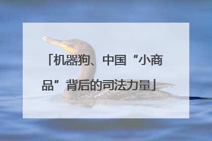机器狗、中国“小商品”背后的司法力量