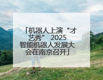 机器人上演“才艺秀” 2025智能机器人发展大会在南京召开