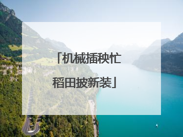机械插秧忙 稻田披新装