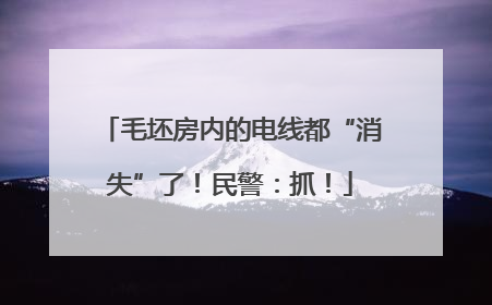 毛坯房内的电线都“消失”了！民警：抓！