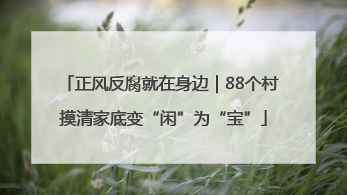 正风反腐就在身边｜88个村摸清家底变“闲”为“宝”