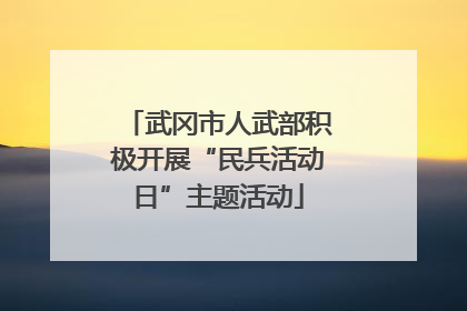 武冈市人武部积极开展“民兵活动日”主题活动