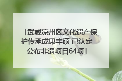武威凉州区文化遗产保护传承成果丰硕 已认定公布非遗项目64项