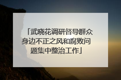 武晓花调研督导群众身边不正之风和腐败问题集中整治工作