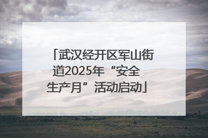 武汉经开区军山街道2025年“安全生产月”活动启动