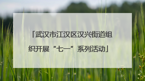 武汉市江汉区汉兴街道组织开展“七一”系列活动