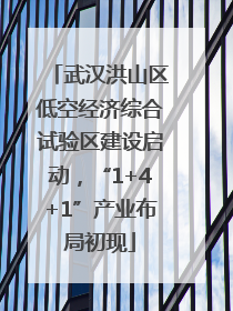 武汉洪山区低空经济综合试验区建设启动，“1+4+1”产业布局初现
