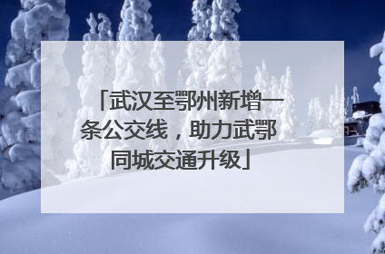 武汉至鄂州新增一条公交线，助力武鄂同城交通升级