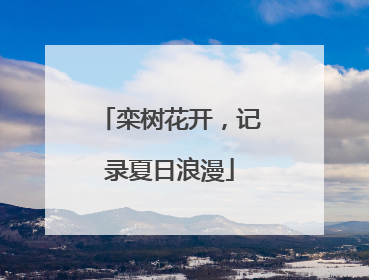 栾树花开，记录夏日浪漫