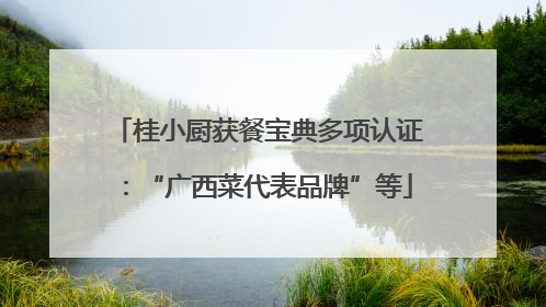 桂小厨获餐宝典多项认证：“广西菜代表品牌”等