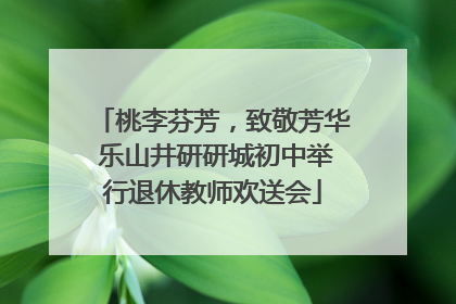 桃李芬芳，致敬芳华 乐山井研研城初中举行退休教师欢送会