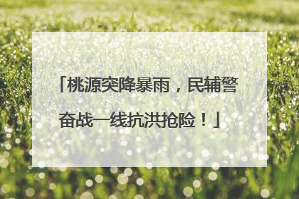 桃源突降暴雨，民辅警奋战一线抗洪抢险！