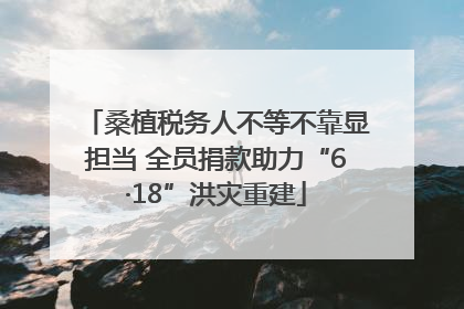 桑植税务人不等不靠显担当 全员捐款助力“6·18”洪灾重建