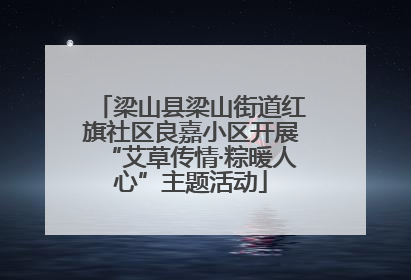 梁山县梁山街道红旗社区良嘉小区开展“艾草传情·粽暖人心”主题活动