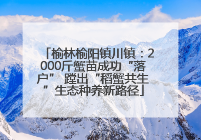 榆林榆阳镇川镇：2000斤蟹苗成功“落户” 蹚出“稻蟹共生”生态种养新路径
