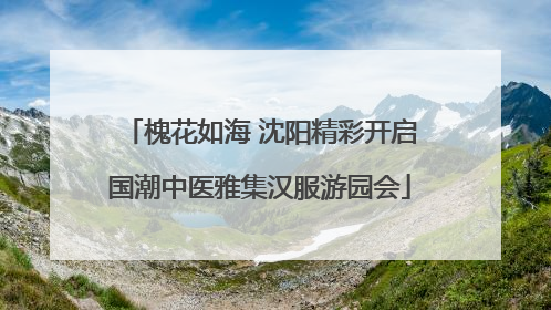 槐花如海 沈阳精彩开启国潮中医雅集汉服游园会
