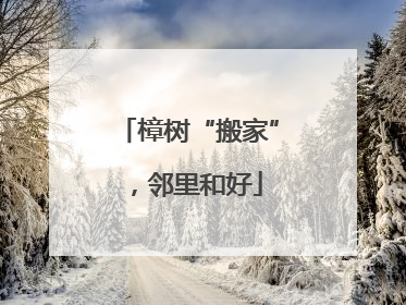 樟树“搬家”，邻里和好