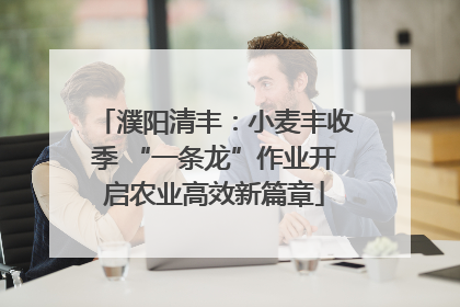 濮阳清丰：小麦丰收季 “一条龙”作业开启农业高效新篇章