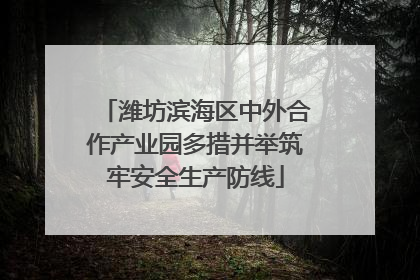 潍坊滨海区中外合作产业园多措并举筑牢安全生产防线