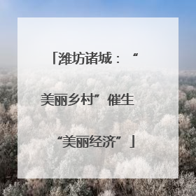 潍坊诸城：“美丽乡村”催生“美丽经济”