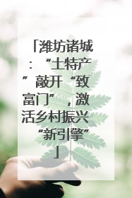 潍坊诸城：“土特产”敲开“致富门”，激活乡村振兴“新引擎”