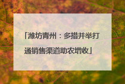 潍坊青州：多措并举打通销售渠道助农增收