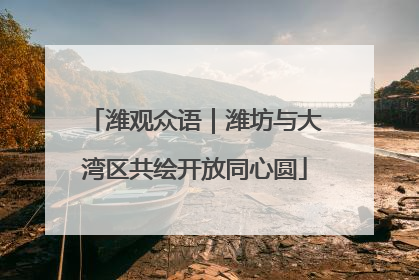 潍观众语｜潍坊与大湾区共绘开放同心圆