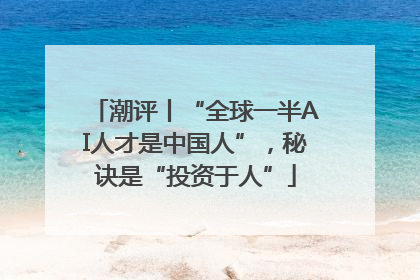 潮评丨“全球一半AI人才是中国人”，秘诀是“投资于人”