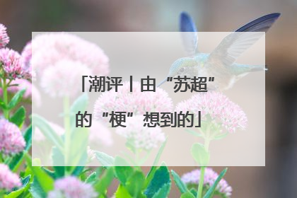 潮评丨由“苏超”的“梗”想到的