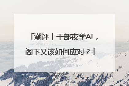 潮评丨干部夜学AI，阁下又该如何应对？