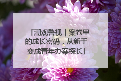 潮观警视｜案卷里的成长密码，从新手变成青年办案探长