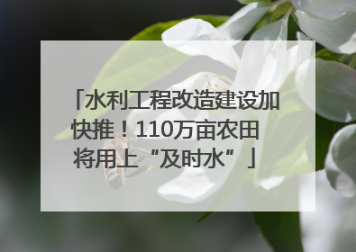 水利工程改造建设加快推！110万亩农田将用上“及时水”