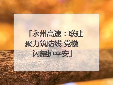 永州高速：联建聚力筑防线 党徽闪耀护平安
