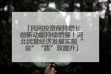 民间投资保持增长 创新动能持续增强！河北民营经济发展实现“量”“质”双提升
